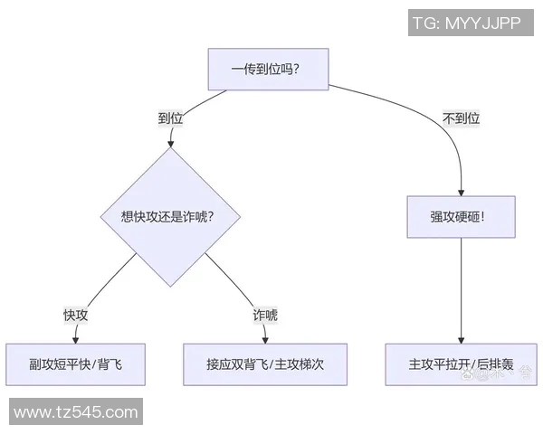 武汉排球队反击体系解析与战术创新探讨 武汉排球队反击体系解析与战术创新探讨