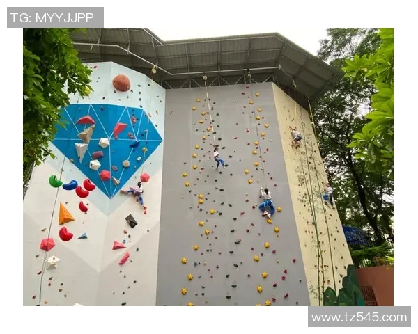 西安攀岩队实力揭秘：挑战极限的勇者之路与精彩瞬间